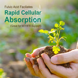 Vital Earth Minerals Super Multi – Liquid Multivitamins for Women, Men & Kids, Liquid Vitamins with Fulvic Acid for Better Absorption, MTHFR Support, 32 Oz + 1 Oz Cup