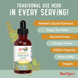 MaryRuth Organics Lemon Balm Leaf Liquid Extract | Mood Support | Relaxation | Calming | Nervine Herbal | Lemon Balm Tincture | USDA Organic | Vegan | Non-GMO | Gluten Free | 1 Fl Oz
