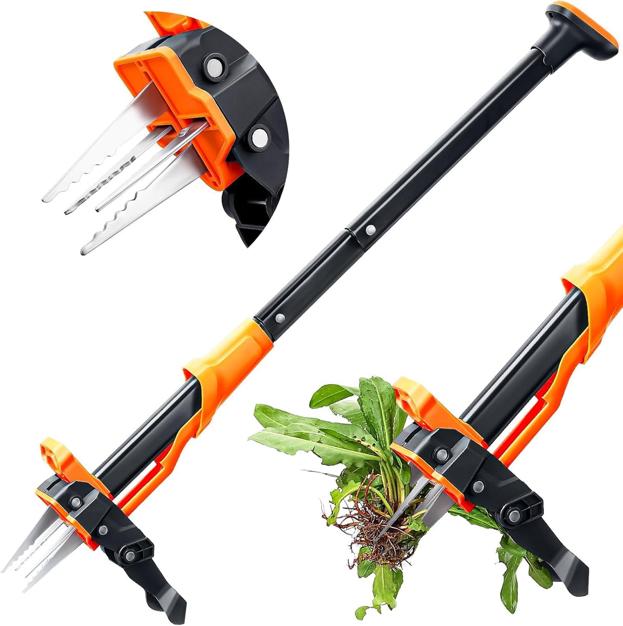 Crywag Weed Puller Tool - Stand Up Weed Puller with 4-Claw Steel Head, 39" Retractable Handle & Easy-Eject Mechanism for Dandelions, Clover & More, No Bending or Kneeling