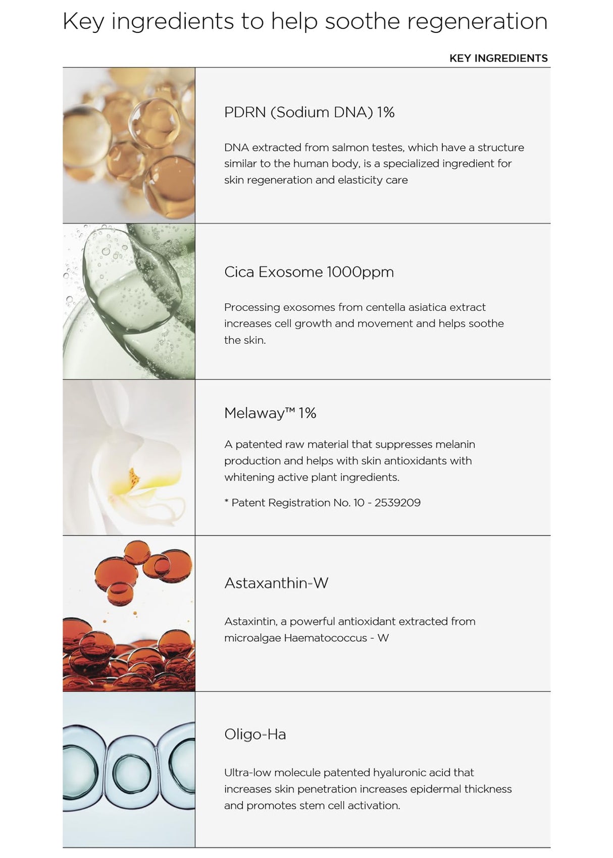 [FINDIVE OFFICIAL] PDRN CICA Exosome Serum, PDRN (Sodium DNA) 1%, Cica Exosome 1,000ppm, Marin Collagen, Soothes, Regenerates Skin, 1.69fl.oz