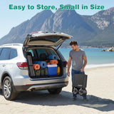 SUNNYFEEL Beach Wagon with Big Wheels for Sand - 300L Large Capacity