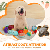 QTwoof 20-Pack Plush Squeaky Dog Toys for Small Dogs