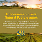 Natural Factors Quercetin LipoMicel Matrix for Superior Absorption, 30 Softgels