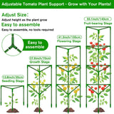 4 Pack Tomato Cages for Garden, Tomato Cage Trellis, Garden Cage Heavy Duty