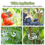Plant Support Clips, Reusable Garden Clips for Securing Plants (100, White)