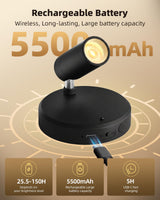EZVALO Wireless LED Spotlights Indoor, 5500mAh Rechargeable Battery-Powered Plant Spotlights, Dimmable & Timer, 3-CCT Small Up Lights with Remote, Accent Uplighting for Artwork, Trees (Black)