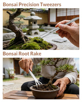 Bonsai Tool Set 6PCS with Wood Box, Stainless Steel Bonsai Tools