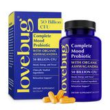 LoveBug Complete Mood Probiotics for Women - 50 Billion CFU, 10 Clinically Studied Strains, Lactobacillus Bifidobacterium Probiotic with Ashwagandha Digestive Health, Mood Support Supplement, 30 Count