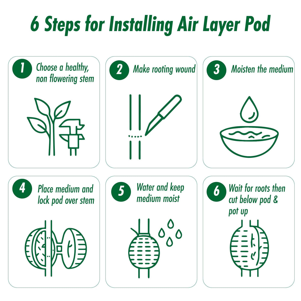 Rooted Promise Air Layering Propagation kit with Zip Ties | 12 Pack | 4 inches Wide x 5 inches Long | Plant Rooting Pods - Supports Aerial Roots Growth | Ventilated and Hinged Design | Made in USA