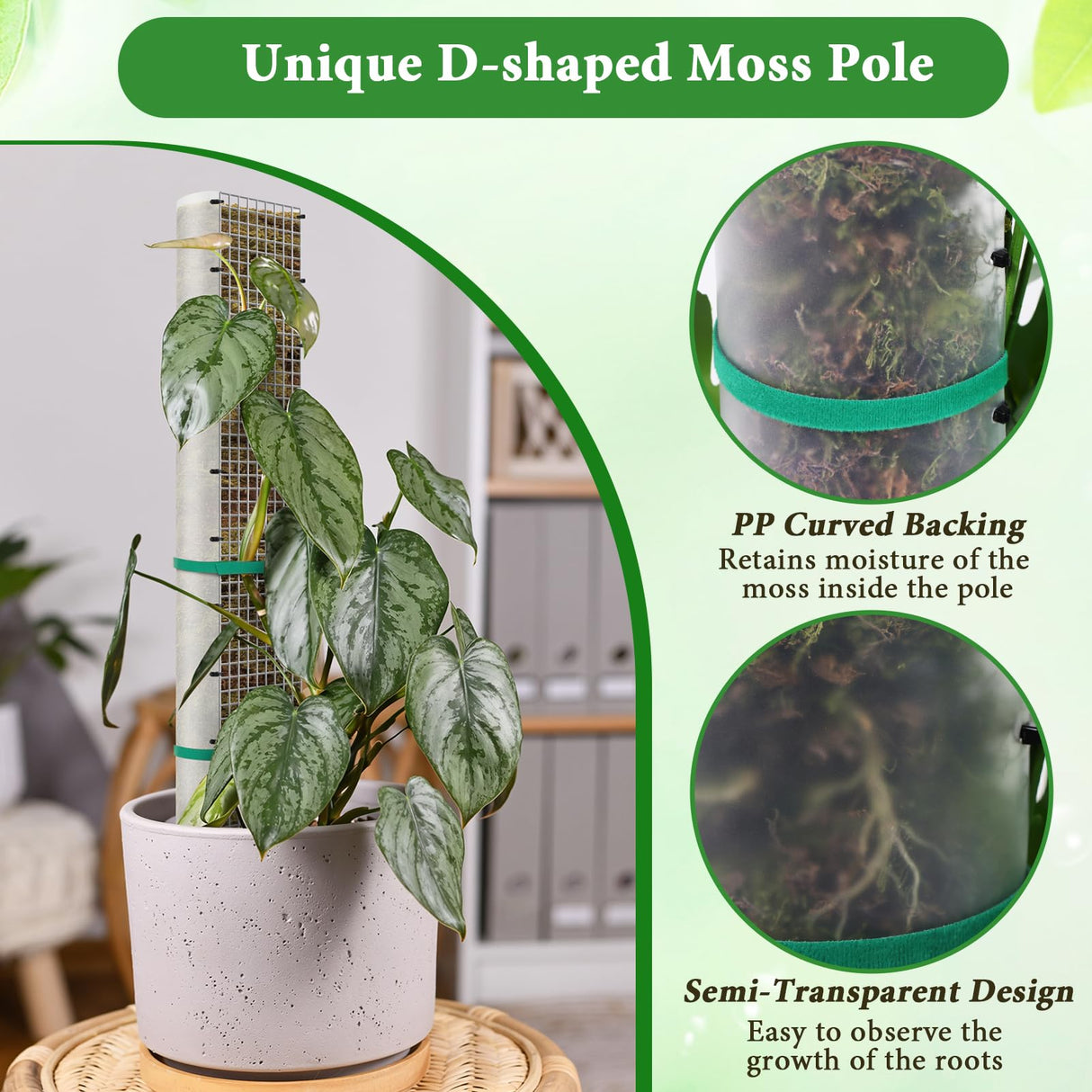 MUDEREK 6 Pack D Shape Sphagnum Moss Pole-24+40"+60"