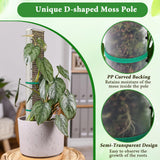 MUDEREK 6 Pack D Shape Sphagnum Moss Pole-24+40"+60"