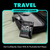 DUDE Wipes On-The-Go Flushable Wet Wipes - 30 Count, Pack of 2 - Mint Chill Extra-Large Individually Wrapped Wipes with Eucalyptus & Tea Tree Oil - Septic and Sewer Safe