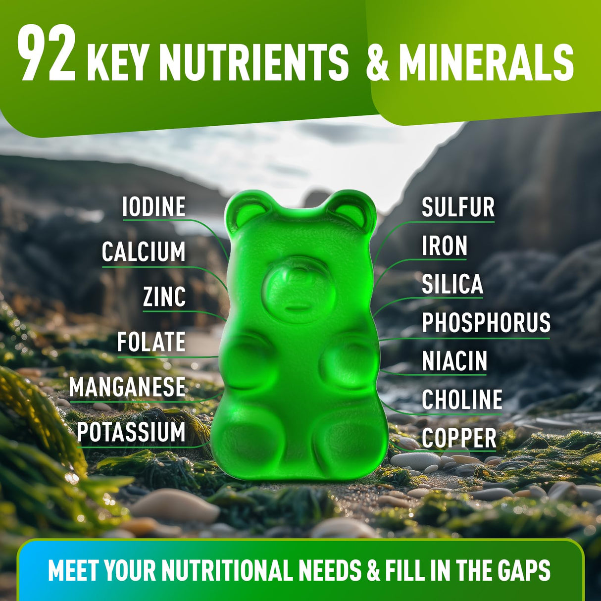 BioVit Sea Moss Gummies - Wildcrafted Irish Sea Moss for Adults & Kids - Seamoss Gel with Bladderwrack & Burdock Root Extract - 60 Vegan Gummies