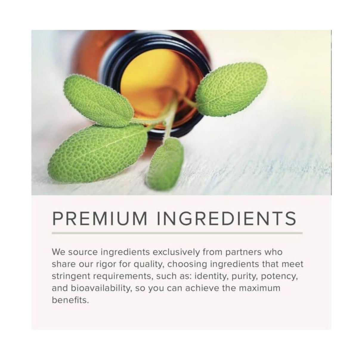 NusaPure Graviola 20:1 & 10:1 Extract, 250 mg Equivalent to 7,500 mg per caps 200 Veggie (Vegan, Non-GMO)