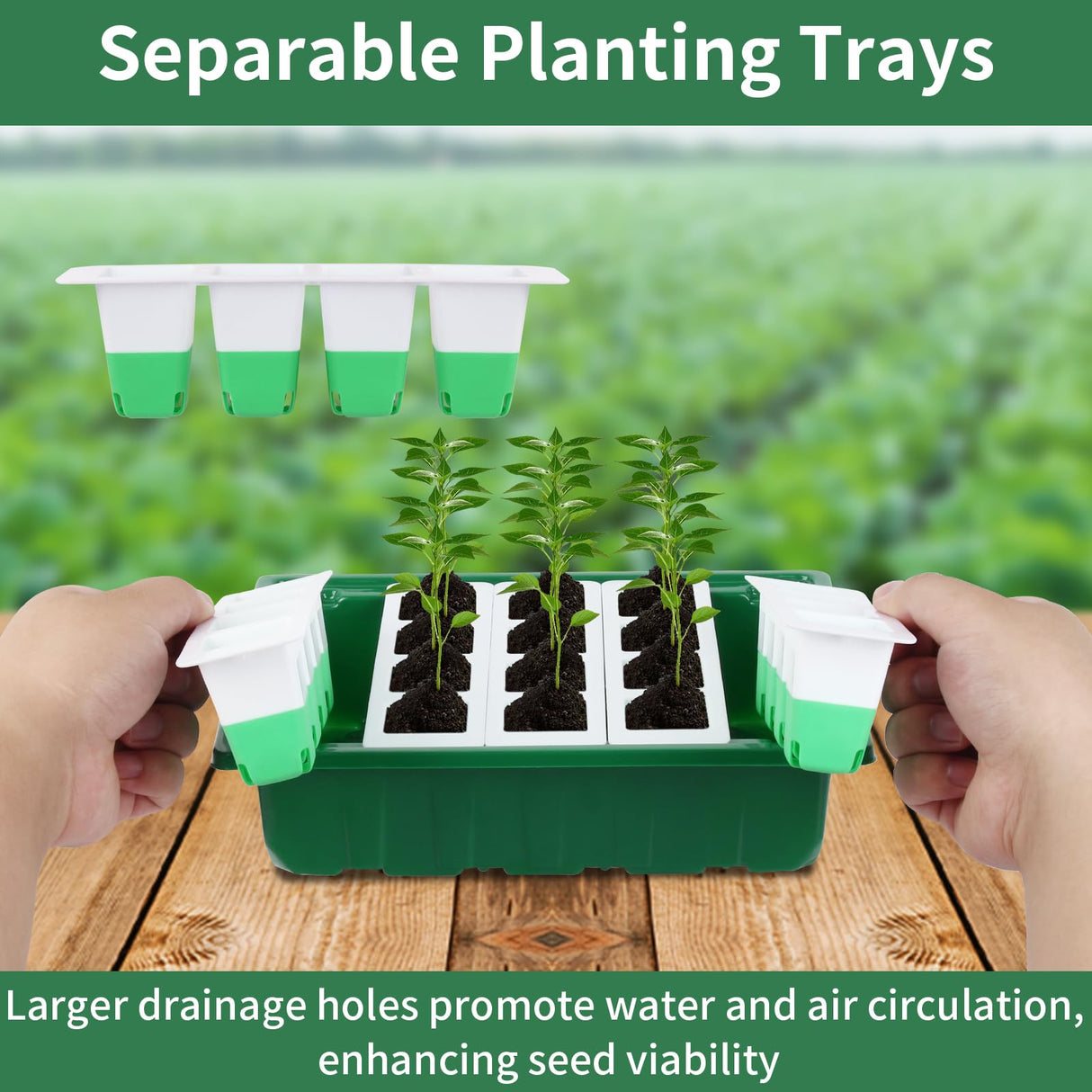 Sondiko Seed Starter Tray with Soft Silicone Cells, 80 Cells Seedling Trays Seed Startering Kit, 4 Pack Plant Starter Trays with Humidity Dome, Base Mini Greenhouse Germination Kit