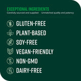 Vibrant Health, Green Vibrance, Superfoods Powder with 70+ Plant-Based Whole Foods & 25 Billion Probiotics Per Serving, Blueberry Lemon, 25 Servings