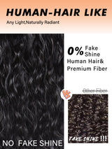 Black Curly Wigs With Bangs for Black Women Human Hair Fix Premium Fiber Long Black Wig for Daily
