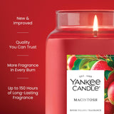 Yankee Candle Macintosh Scented Candle, 22oz Large Jar