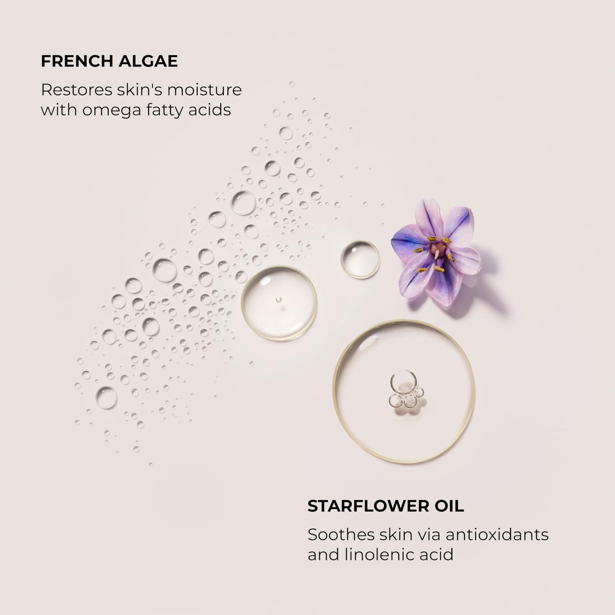 Laura Mercier Serum Body Cream, Moisturizing Serum-Infused, 48HR Hydration, Improves Skin Barrier, Soothes Dry Skin, Shea Butter and Squalane Intensely Nourishes, Almond Coconut