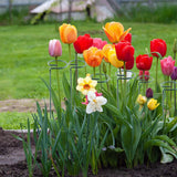Thealyn 20 Pack 16 Inch Plant Support Stakes, Metal Single stemmed Flower Support Hoops，Garden Plant Stakes Plant Prop for Amaryllis Orchid Lily Rose Peony Tomatoes Gladiolus