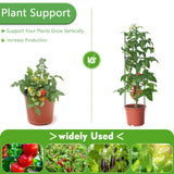 Fabulas 3 Pack Tomato Cages - Tomato Trellis Plant Support Stake Cage for Garden and Pots, Adjustable Tomato Plant Cage Tall Up to 48 Inch for Raised Garden Bed Outdoor Climbing Plants Vegetables