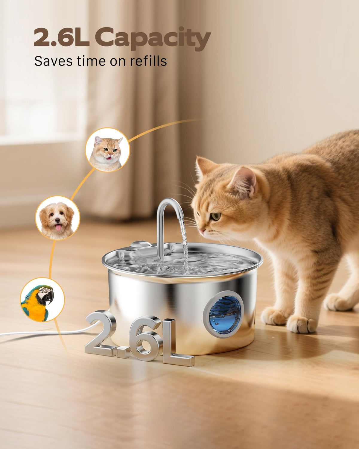 Cat Water Fountain Stainless Steel: Cat Fountain for Drinking - 88oz/2.6L