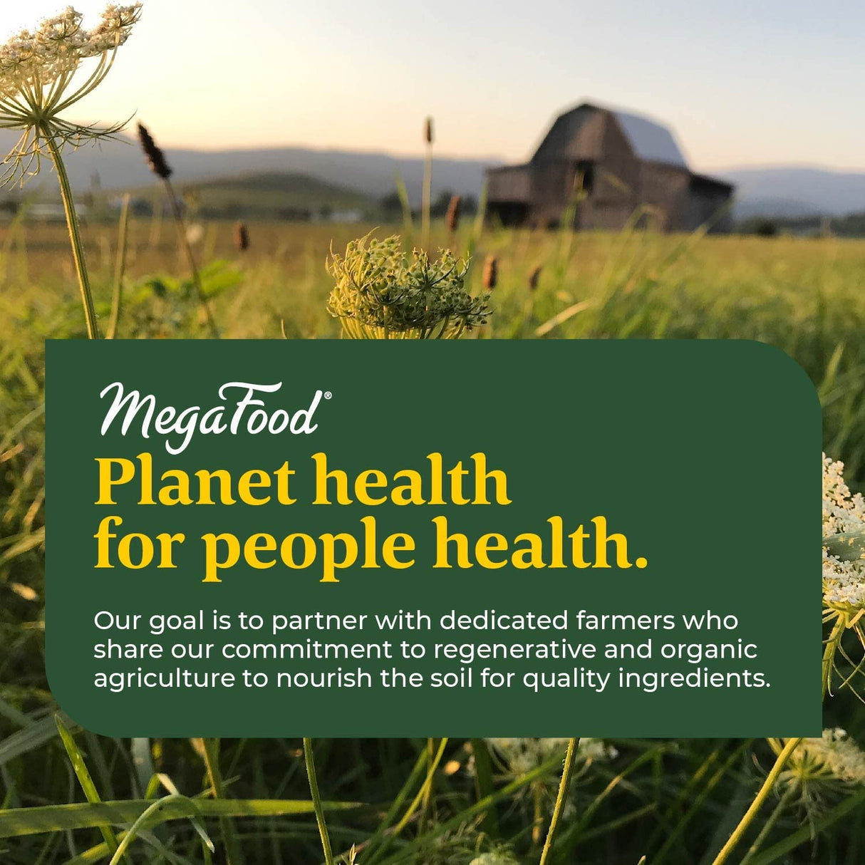 MegaFood Blood Builder Iron Supplement Clinically Shown to Increase Iron Levels Without Side Effects, Vegan Supplement For Women with Vitamin C, Vitamin B12 & Folic Acid, 180 Tablets