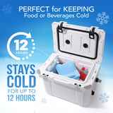 Large Reusable Ice Packs for Cooler with Handle (4 Pack) Long Lasting Coolness, BPA Free, Freezer Packs for Extended Cooling | Cooler Ice Packs for Camping, Fishing, Hiking, Beach