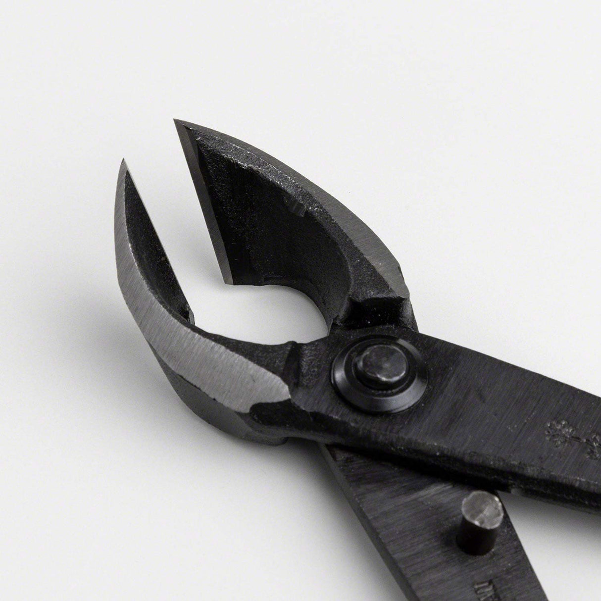 Wazakura Hand Forged Bonsai Concave Branch Cutter, Made in Japan 8 inch (200mm), Japanese Gardening Tools, Straight Edge Black