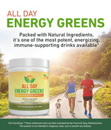 IVL - All Day Energy Greens - Supplement Powder Mix Drink, Greens Powder Superfood - Super Greens Blend for Optimal Nutrition,Energy & Digestion,Superfood Boost(Fruity Flavor)