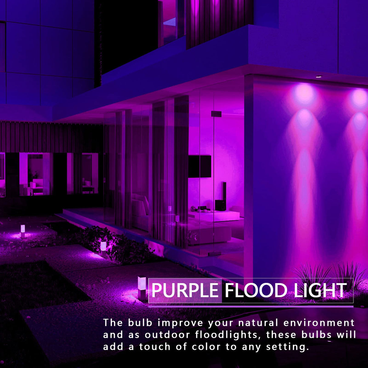 LOXYEE PAR38 Flood Purple Light Bulbs,4 Pack Dimmable,E26 Base Purple Flood Light Outoor(20W Replace to 200W),Halloween Light Bulb for Outside,Christmas,Holiday Lighting