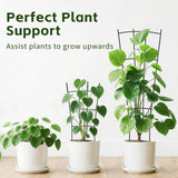 FAFTFTDY Trellis for Climbing Plants Indoor, 4 Pack 31'' Metal Plant Trellis Indoor for Potted Plants, Sturdy Plant Support Outdoor for Ivy Pothos Monstera Hoya Flower Vine, Fan Shape