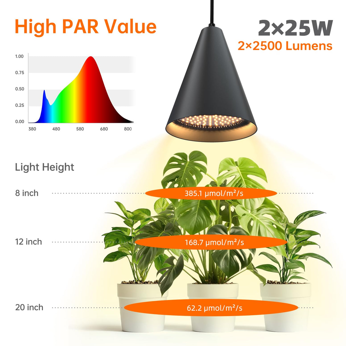 Bstrip 50W Double-Head One Cord Grow Lights for Indoor Plants full Spectrum 3000K, Black LED Grow Light Bulb with Timer & 16.4FT Power Cord, Perfect for Tall Plants, Flowers, and Greenhouses in Winter
