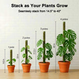 Moss Pole Monstera Plant Support: 40" Stackable Kit for Climbing Vines