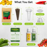 Salsa Garden Seed Pod Kit for AeroGarden, iDoo, Ahopegarden Hydroponic System, 400+ Seeds Includes Red Chili, Green, Yellow, and Purple Bell Pepper, Cucumber, Red/Golden Cherry Tomato (7-Pod)
