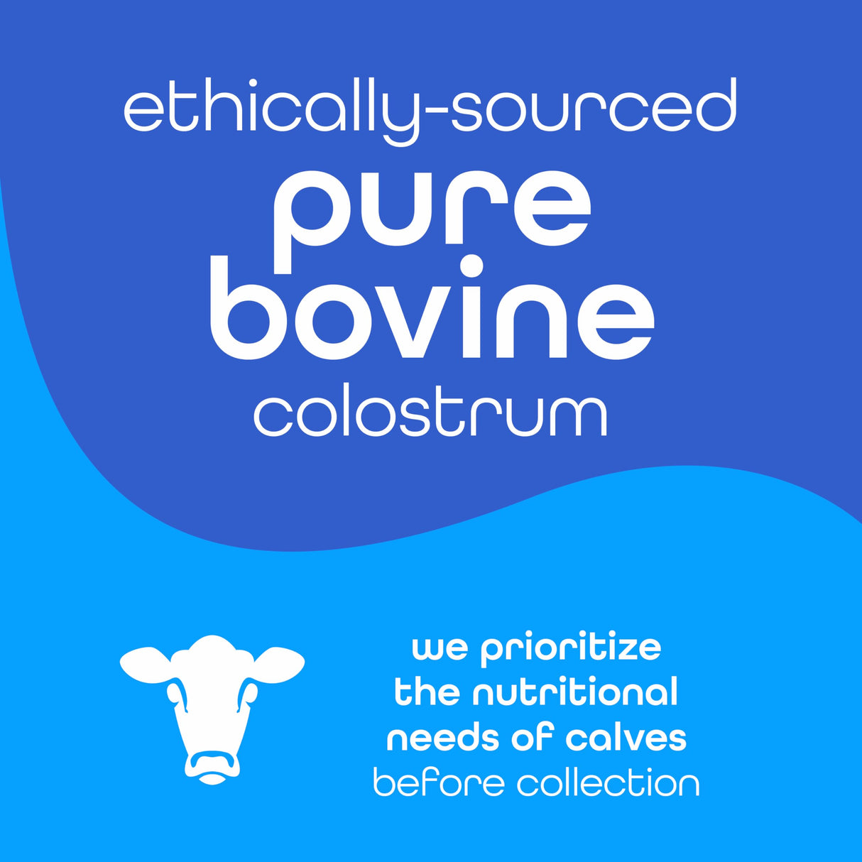 Zena Nutrition Bovine Colostrum Powder Supplement, 2000mg Pure Colostrum, Supports Immune and Digestive Health, Promotes Gut Health, Keto, Gluten Free, Fat Free, Grass Fed, Unflavored, 30 Servings