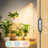 FECOLGT Grow Light for Indoor Plants, Full Spectrum Floor Plant Lamp with Convex Lens, Timer 6/12/18H, Faux Walnut Wood Grain, 12-57 inches Height Adjustable Desktop and Standing Growing Light