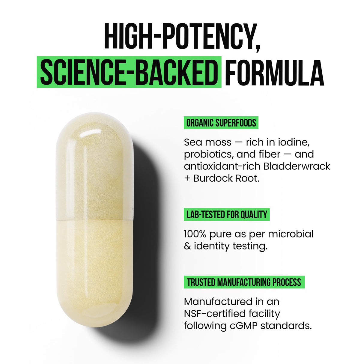 VitaRaw Organic Irish Sea Moss Capsules 2400 mg - Burdock Root and Bladderwrack Powder Real Seamoss Pills for Immune Support, Joint and Gut Health Help - Raw Sea Moss Advanced Herbal Supplement