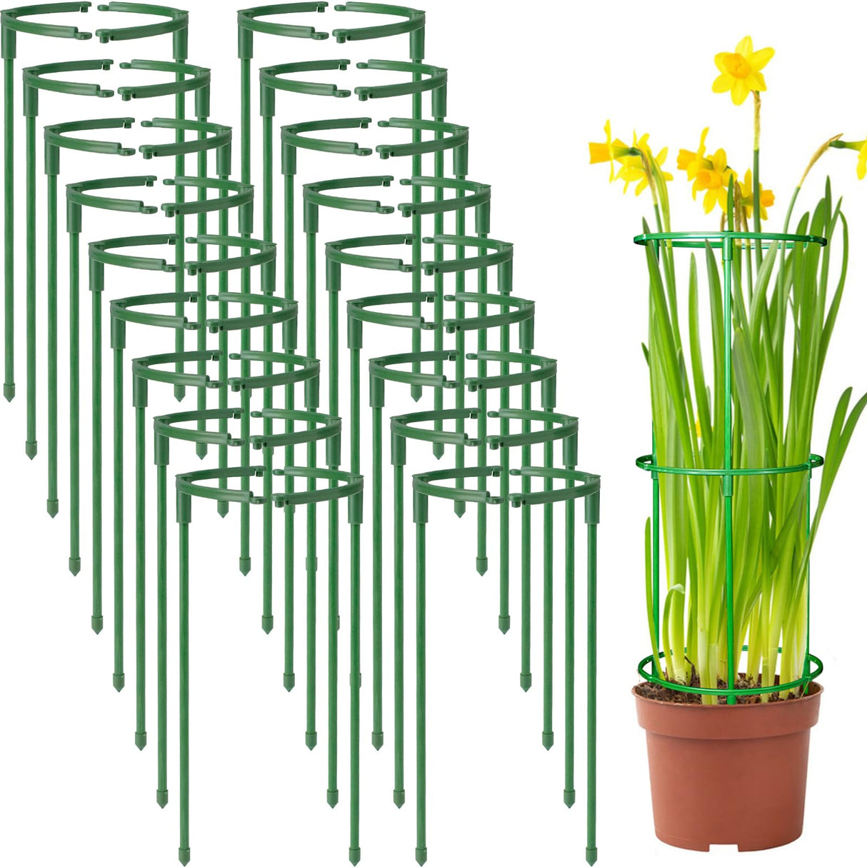 36Packs Plant Support Stake Half Round Plant Support for Indoor Plants, Stackable 3 Tier Garden Flower Support, Plant Rings for Tomato,Monstera, Peony, Hydrangea, Climbing Plants