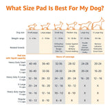 Amazon Basics Super Absorbent Dog and Puppy Potty Pads, Leak-Proof 5-Layer Design with Quick-Dry Surface for Housebreaking, Heavy Duty Absorbency, X-Large, 28 x 34 Inch, Blue & White, 25-Pack