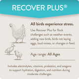 FlockLeader Recover Plus Moderate Stress Probiotic Water Supplement for Chickens with Electrolytes & Oregano, 8 oz