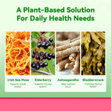 Inner Brightness Sea Moss 4000mg Gummies with Ashwagandha, Elderberry, Apple Cider Vinegar, Bladderwrack, Burdock Root – Immune Support – Mixed Berry Flavor – 60 Count