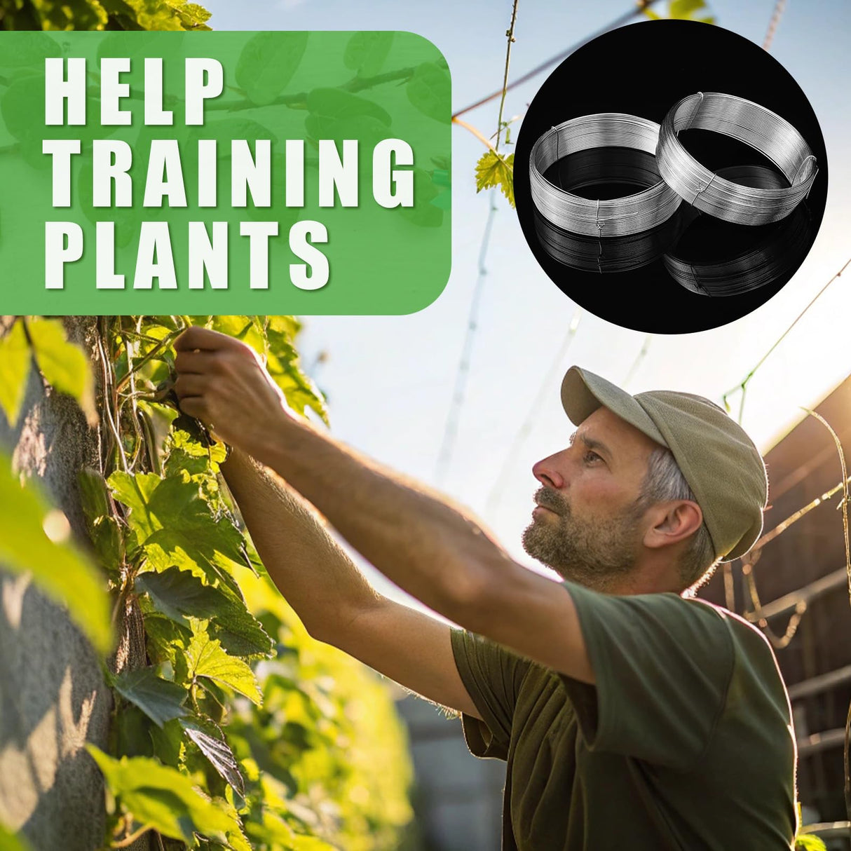 WILLBOND 350 Feet Plants Trellis Training Wire 2 Rolls Trellis Wire for Climbing Plants for Garden Fence