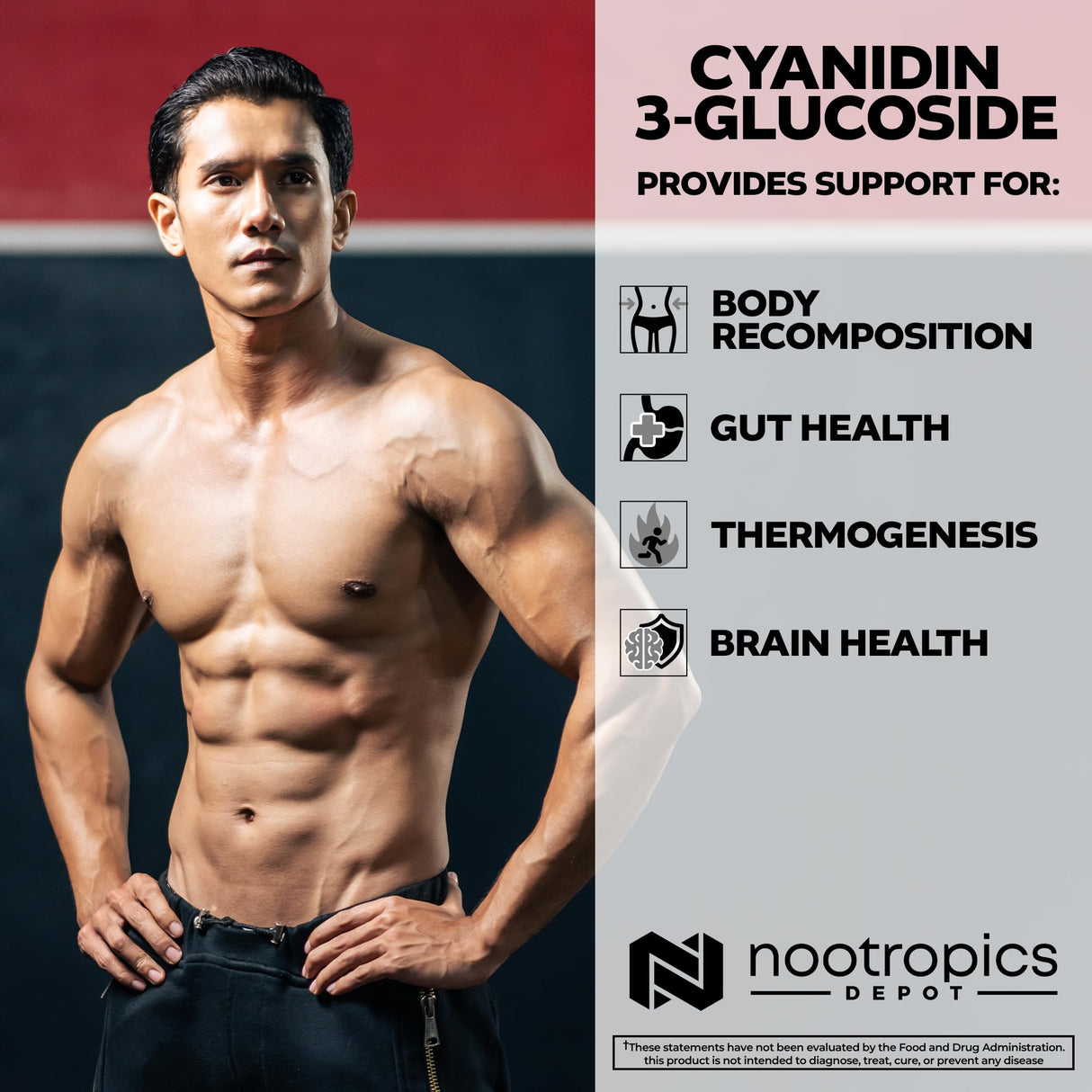 Nootropics Depot Cyanidin 3-Glucoside Capsules | 125mg | 60 Count | Black Rice Extract | C3G | Oryza Sativa | Metabolic, Vision, & Cognitive Support