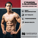 Nootropics Depot Cyanidin 3-Glucoside Capsules | 125mg | 60 Count | Black Rice Extract | C3G | Oryza Sativa | Metabolic, Vision, & Cognitive Support