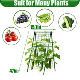 Garden Arch Trellis for Climbing Plants Outdoor, Garden Arch for Climbing Vine Vegetable/Fruit/Flower, Cucumber Trellis for Raised Bed (15.7x47in)