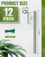 12 Pack 36 Inch Plant Support Stakes for Outdoor Plants and Indoor Flowers