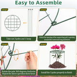 6 Pack 12 x 16 Inch Peony Cages and Supports for Outdoor Plants