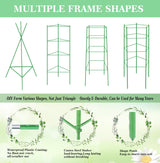 Moirsunt 66Inch Tomato Cage for Garden, 4Pack Plant Support Garden Stakes