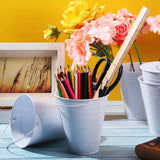 Sadnyy 12 Pack Metal Buckets with Handle, Galvanized Bucket 4.5 x 5 Inch Basket Bucket Party Supplies, Crafts for Christmas Halloween Candy Bars Vase Crafts(White)